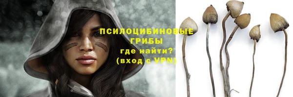таблы Алексин