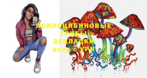 сатива Алзамай