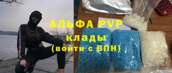 сатива Алзамай