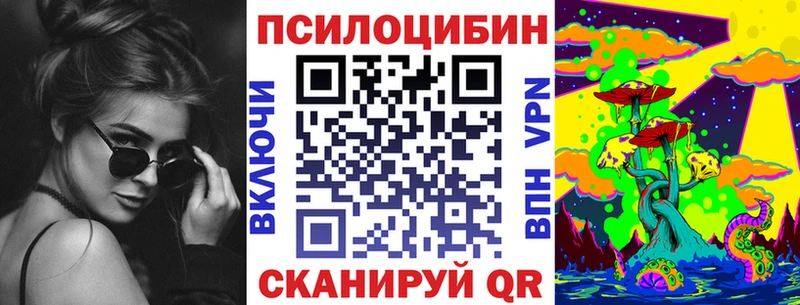 цена   Туймазы  Галлюциногенные грибы Psilocybine cubensis 