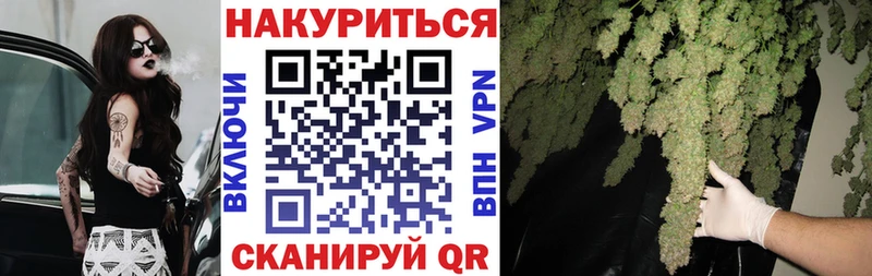 купить наркотик Туймазы Бошки Шишки SATIVA & INDICA
